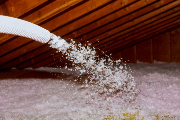 Best Residential Insulation in Tonto Basin, AZ